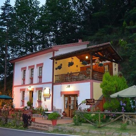 Casa Rural Priena Ковадонга Екстериор снимка